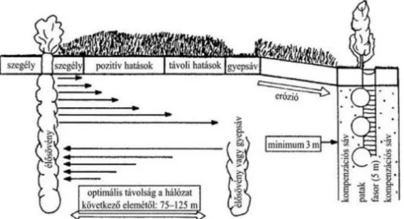 10-1. ábra A biotóphálózat agrártájon való megjelenésének vázlatos rendszere(Jedicke, 1994)