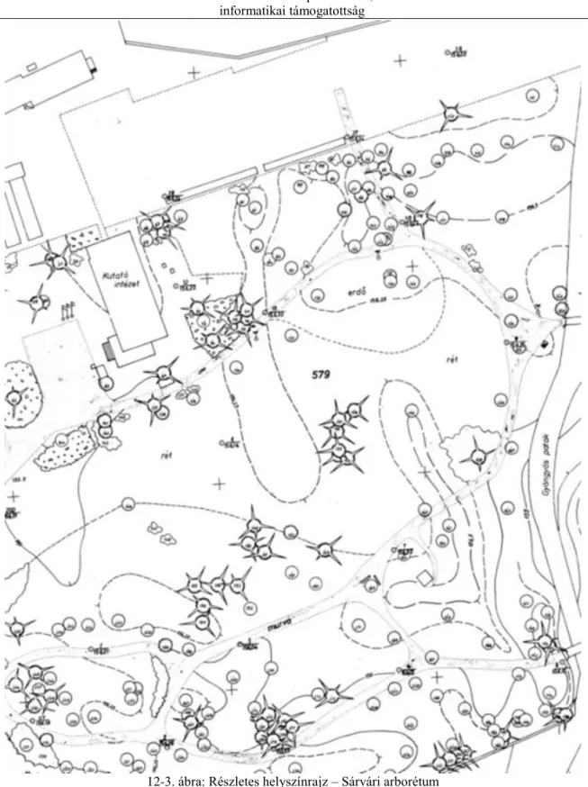 12-3. ábra: Részletes helyszínrajz – Sárvári arborétum