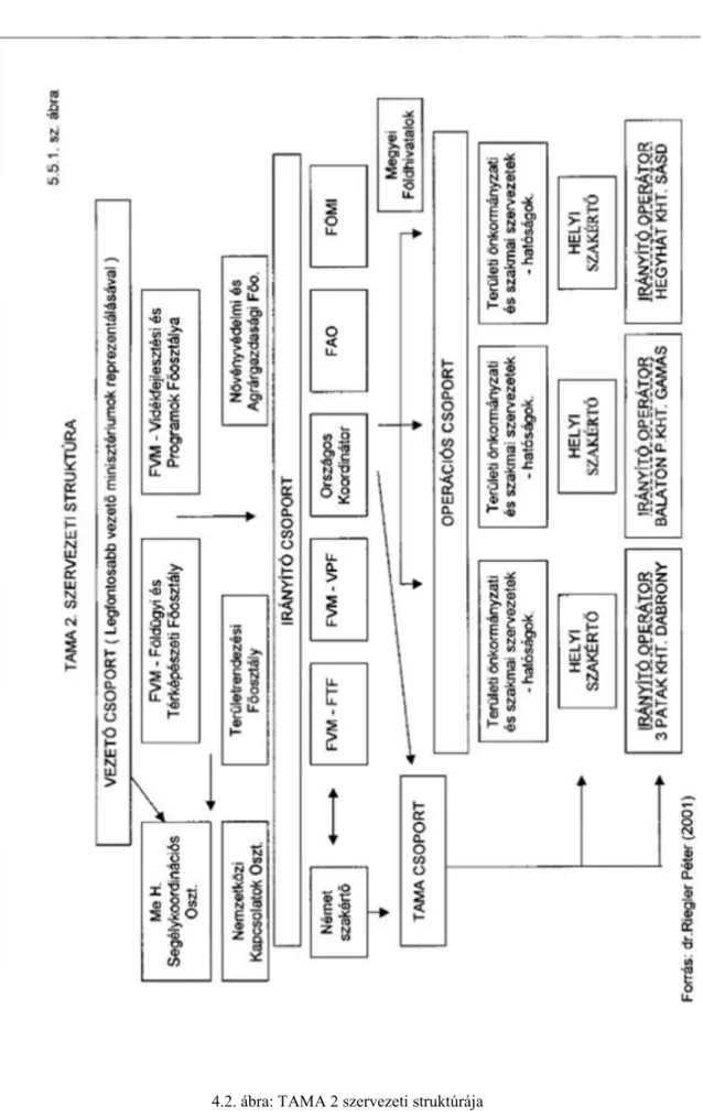 4.2. ábra: TAMA 2 szervezeti struktúrája