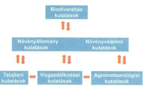 Fentieknek megfelelően a tervezett fő kutatási területeit a 17. ábra szemlélteti (Várallyay, 2004).