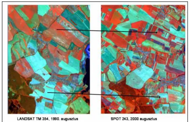 1-4. ábra A talajművelési formában (kis- és nagytáblás művelés) bekövetkezett változások a privatizáció  hatására (1990-ben és 2000-ben készült űrfelvételek).
