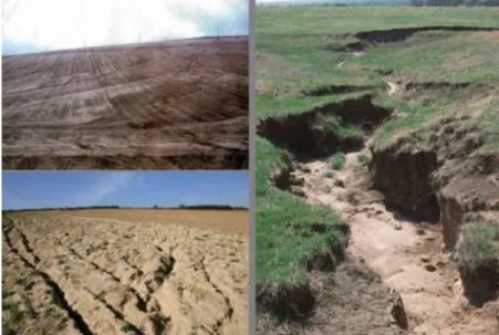 2-5. ábra Az erózió különböző formái. Forrás: http://enfo.agt.bme.hu/drupal/node/7186,  http://suplirahim.multiply.com/journal/item/168/SOIL_EROSION, 