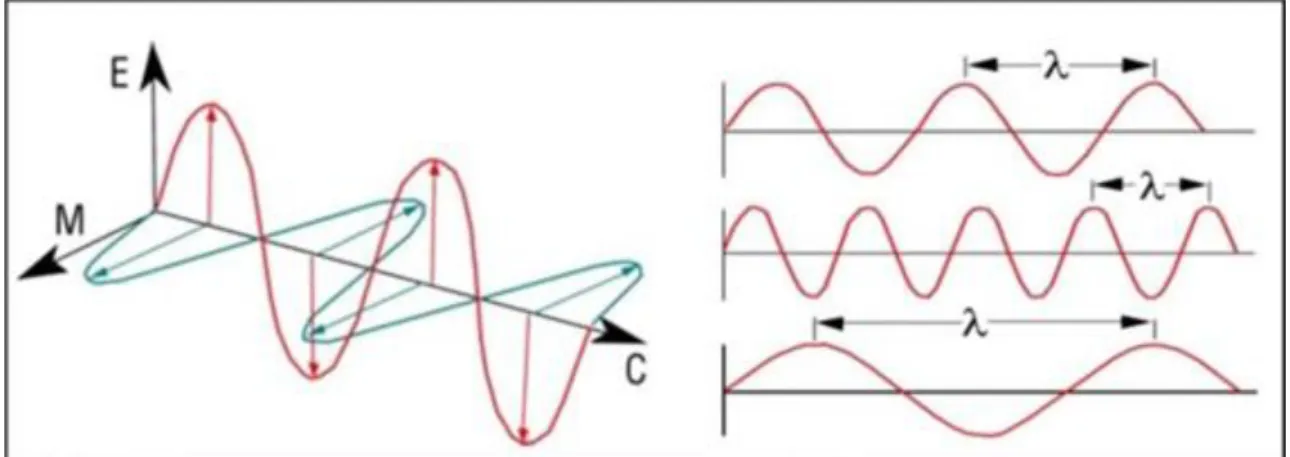 3-2. ábra Az elektromágneses hullám összetevő. E – elektromágnes tér, M – mágneses tér, C – fénysebesség, λ –  hullámhossz