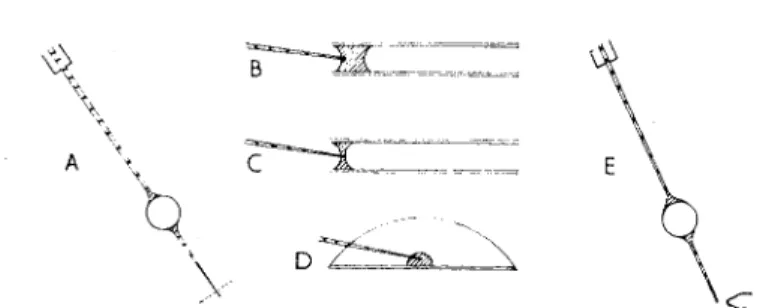 Figure 11 (Giacobini, 1957) shows four curves which, listed from below,  represent : a control, a 1 ΙΟ-μ,-long piece of the neurite from a sympathetic  neurone from the frog, a sample of purified ChE, and the cell body (25 μ)  of the sympathetic neurone me