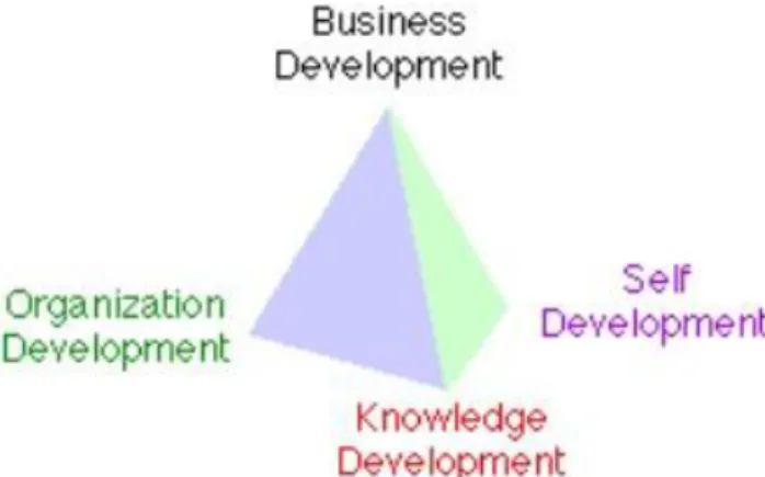 Fig. 4.2. Business development pyramid (Source: http://www.mithya.com/home.html)