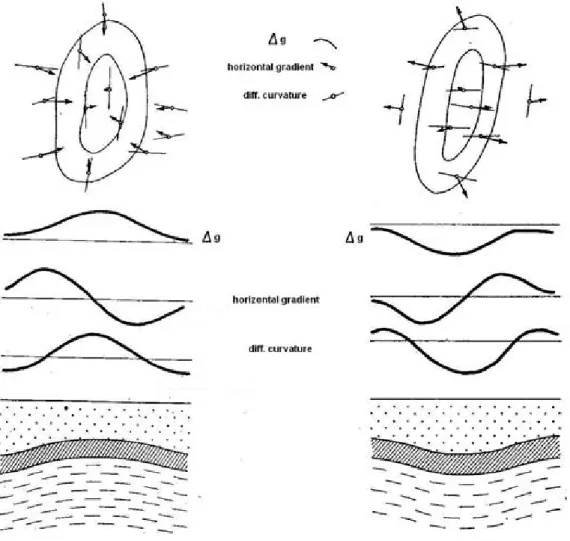 Fig. 8:  Gravity  responses  due  to anticlinal  (left) and  synclinal (right) structure, after Renner  et  al