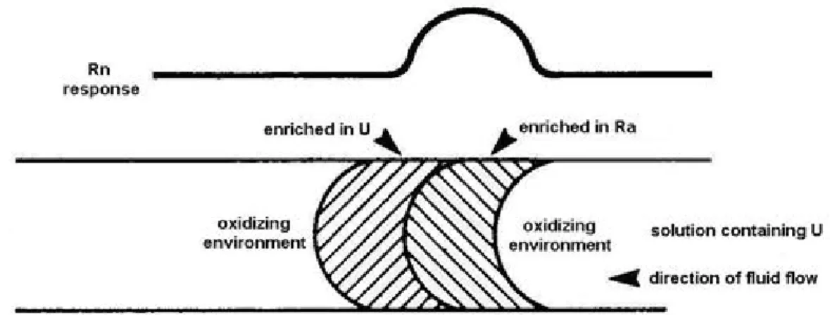 Fig. 2:  Location of U and  Ra zones in an oxidizing environment  (after Gingrich, 1984)