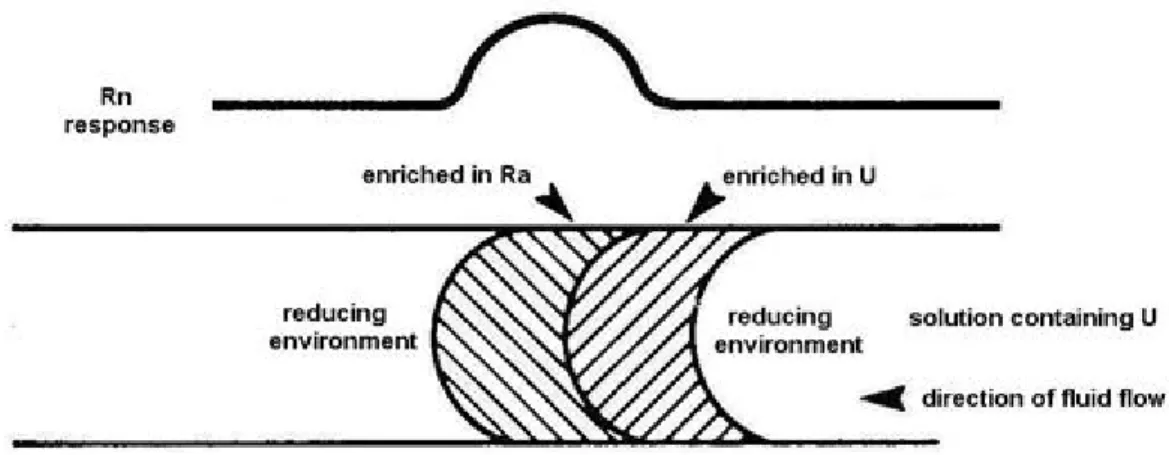 Fig. 3:  Location of U and  Ra zones in a  reducing  environment  (after Gingrich, 1984)