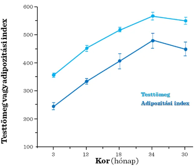 I.3-5. ábra: Testsúly és adipozitás index patkányokban