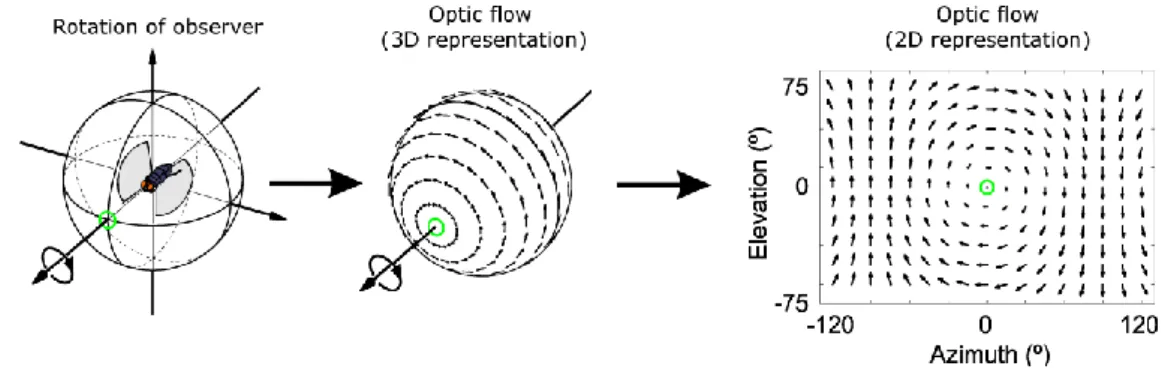 7. ábra - Optical flow field 3