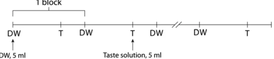 Fig. 5 – Experimental paradigm for stimulus delivery. Abbreviations: DW: distilled water, T: taste solution (for more details see Experimental Procedure Section 4.4).