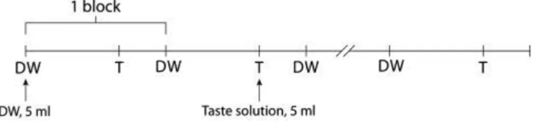 Fig. 5. Experimental paradigm for stimulus delivery. Abbreviations: DW: distilled  water, T: taste solution (for more details see Experimental Procedure Section 4.4)