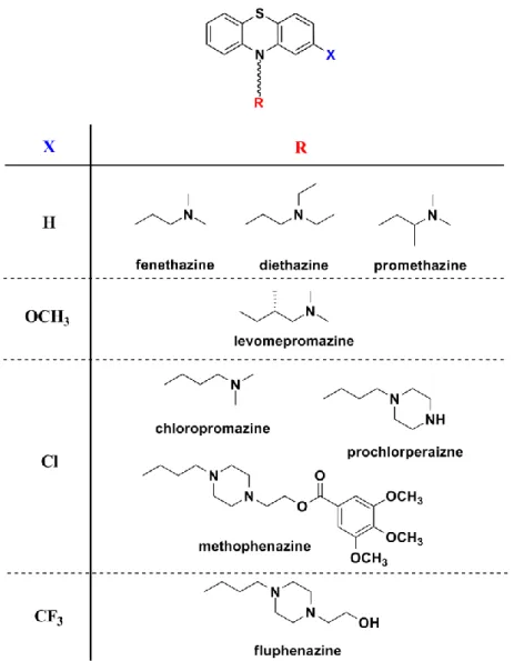 2.3.2.1. ábra: A fentiazinok aromás gyűrűjéhez és a nitrogénhez kapcsolódó leggyakoribb helyettesítők