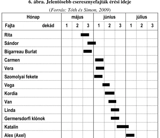 6. ábra. Jelent ő sebb cseresznyefajták érési ideje  (Forrás: Tóth és Simon, 2009) 