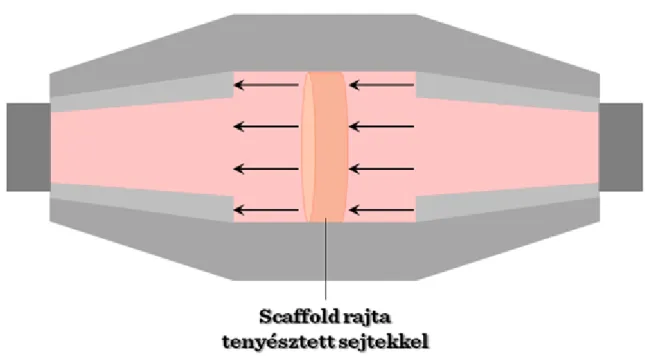III-5. ábra: Perfúziós bioreaktor