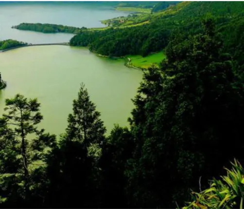 23. ábra. Az Azori-szigeteken lévő LagoaVerde („Zöld tó”) és LagoaAzul („Kék tó”) A fény korlátozott lehatoló képessége miatt vertikális zonációt hoz létre a tavakban: