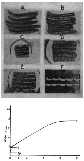 FIG. 1.—Upper: Stages in the bean test. A, fresh  p o d s ; B, pods slit and seeds  removed; C, individual seed chambers in petri dish;  D , drops of test solution in place; 