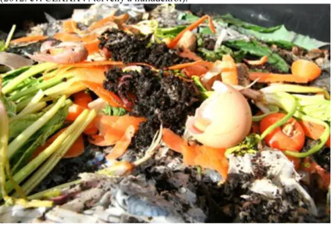 4. ábra A mindennapi életünk során képződő konyhai biohulladék (www.organics-recycling.org.uk) A  biohulladék  mennyisége  és  minősége  a  kommunális  hulladékban  évszakosan  nagy  mértékben  változó