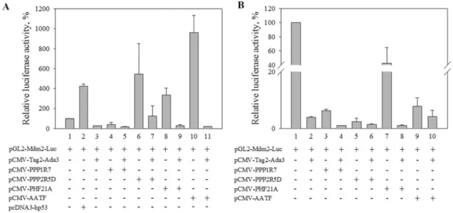 Figure 5 Effect of expression of hADA3-interacting proteins and hADA3 on activation of a luciferase reporter gene under the control of the MDM2 promoter HeLa cells (p53 negative) (A) and U2OS cells (p53 positive) (B) were transfected with a reporter plasmi