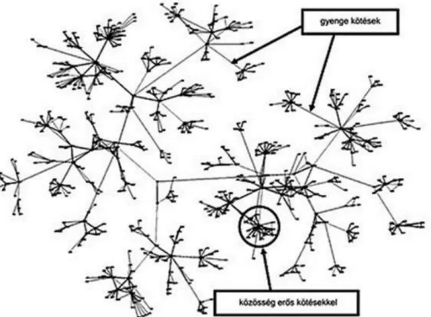 5. ábra: Erős (kötés) és gyenge (híd) típusú kapcsolatok hálózata. Forrás:http://piackutatas.blog.hu