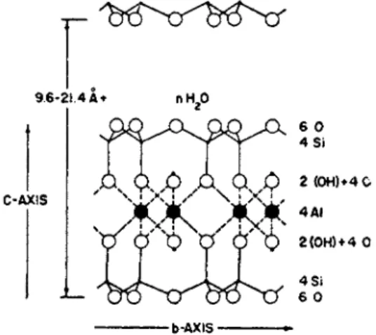 FIG. 7. Schematic diagram of the crystal structure of montmorillonite. Courtesy of  V