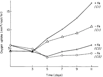 FIG. 15. Change in cyanide sensitive (GS) and cyanide insensitive (CI) rates  of oxygen absorption by whole roots in the presence and absence of iron