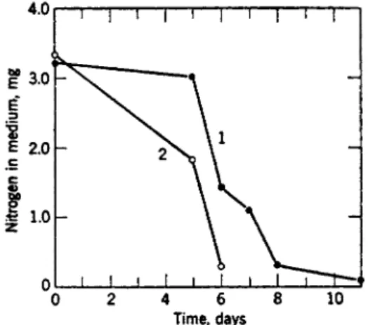 FIG. 5. The utilization of ammonium and nitrate by Scopulariopsis brevicaulis in  a medium containing glucose, succinate, and ammonium nitrate