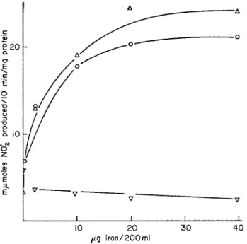 FIG. 6. Effect of the iron content of the culture medium on nitrate reductase  activity in homogenates of Neurospora crassa harvested after 2, 3, and 5 days