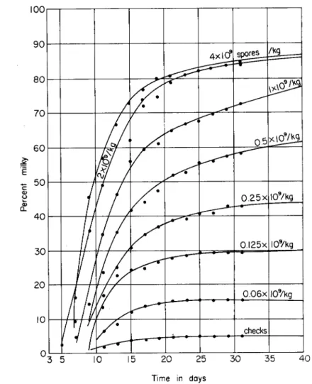FIG. 4. Infection of Popillia larvae in inoculated soil at 30°C. Soil was inoculated  with Bacillus popilliae  U S D A standard lot  7 / 5 / 3 9 