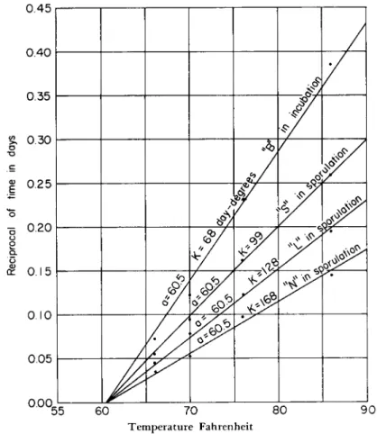 FIG. 1. Effect of temperature on development of Bacillus popilliae. (Data from  Beard, 1945; Fig