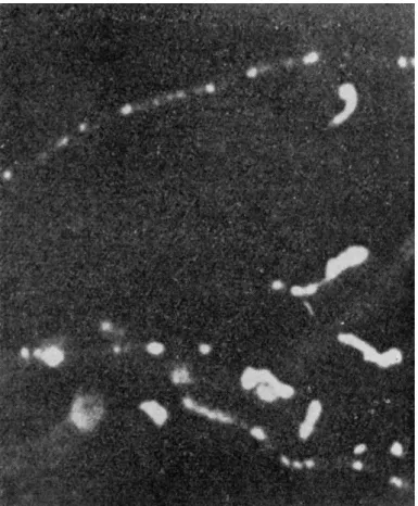 Fig. 6.—From Arthur H. Compton and Samuel K. Allison, X-Rays in Theory and  Experiment, p