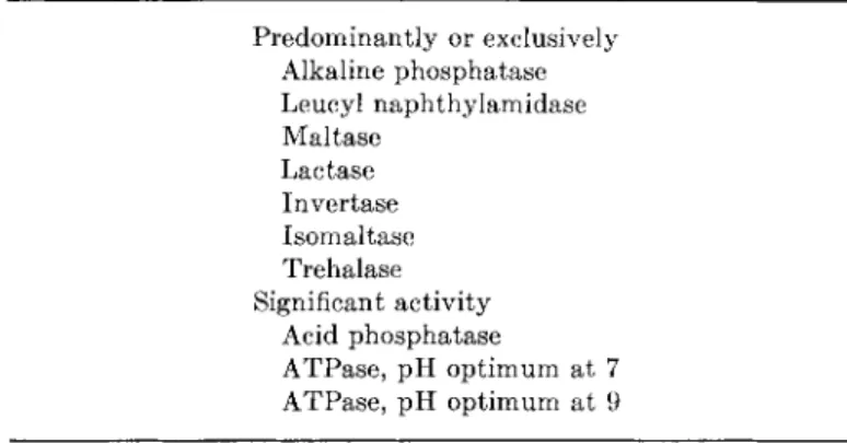 TABLE  I . Hydrolytic Enzymes Present in Isolated Brush Borders  P r e d o m i n a n t l y or exclusively  Alkaline phosphatase  Leucyl  n a p h t h y l a m i d a s e  Maltase  Lactase  Invertase  Isomaltase  Trehalase  Significant activity  Acid phosphata