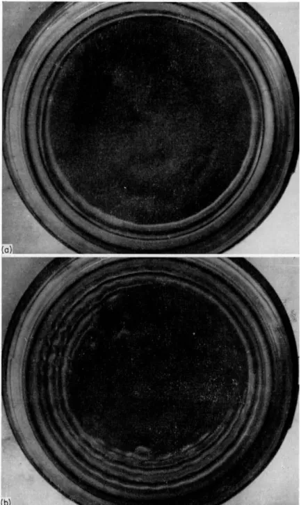 FIG. 1. Development of Bénard cells in a dish of liquid heated uniformly from 