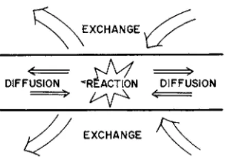 FIG. 5. Diagram of basic system considered in the text. Reaction and diffusion  take place within or on a membrane or thread