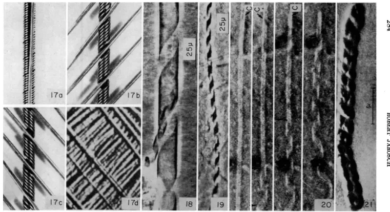 FIG. 17. Possible genesis of a &#34;crossed texture&#34; of cellulose microfibrils in a plant cell