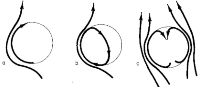 FIG.  2 2 . Passive motions in the surface of an extruded protoplasmic droplet  caused by external streamings in the surrounding fluid [4]
