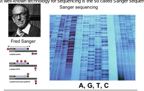 Figure 3.1. Sanger sequencing 