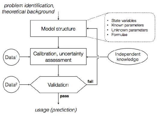 Figure 4. Phases of model development. 