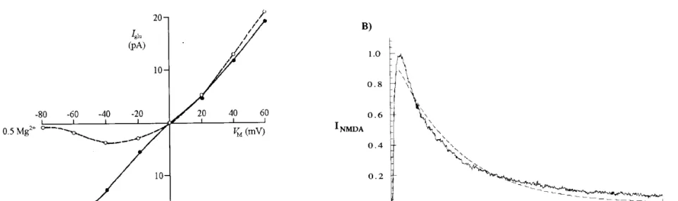 Figure A: Current-voltage relations of the NMDA channel in the absence and in the presence of magnesium.
