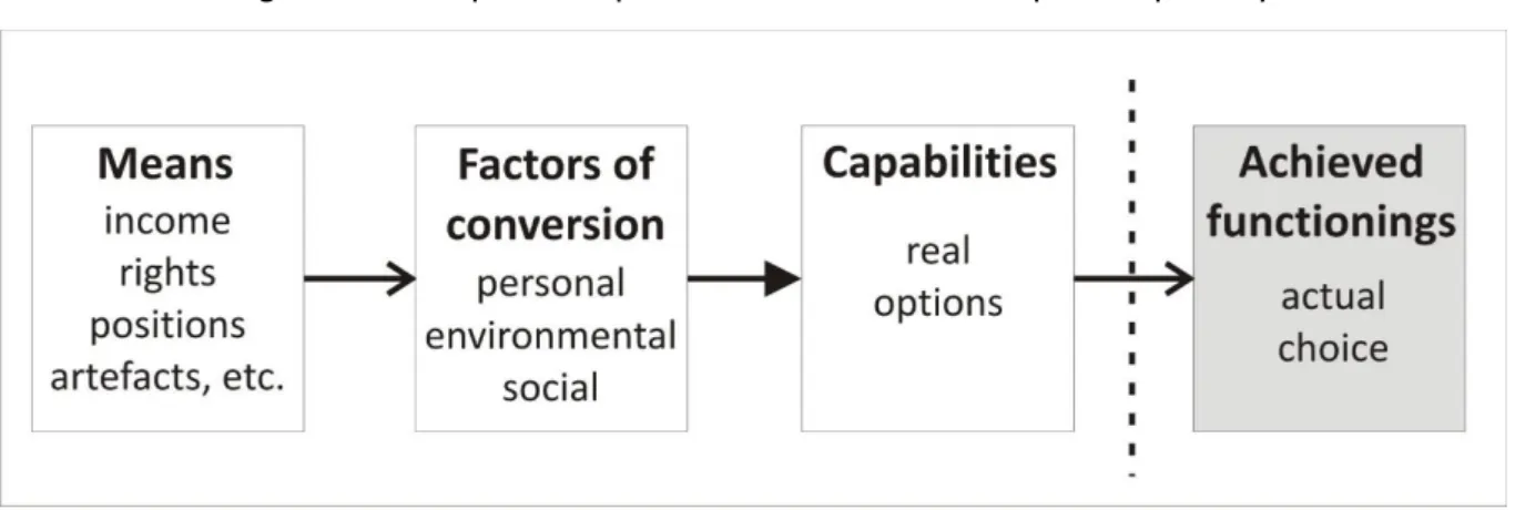 Figure 1. A simplified representation of the concept of capability 