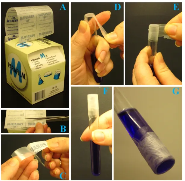 Figure 1.2. A, One roll of parafilm in a dispenser box. B, Cutting a piece of parafilm with scissors