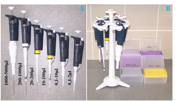 Figure 1.7. A, Micropipettes for different volume ranges. B, Pipettes hanging on a rotating pipette stand, and dif- dif-ferent tips in racks.