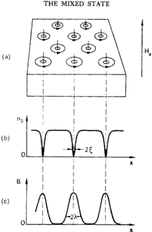 FIG . 12.4. Mixed state in applied magnetic field of strength just greater than H el 