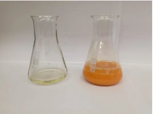 1. ábra Mohr-féle sótartalom meghatározás: a vizsgált minta (bal oldalon)   és az ezüst-nitrát mérőoldattal megtitrált minta (jobb oldalon) 
