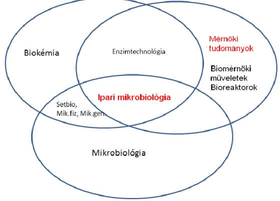 1.1.1. ábra: Az ipari mikrobiológia helye a tudományban 