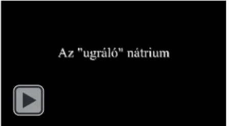 4.3.3.1. ábra: A gőztenzió kialakulása 