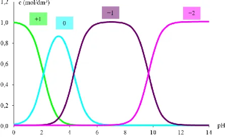 11.17.6.2. ábra: Savasan disszociáló csoportot tartalmazó   aminosav formáinak megoszlása a pH függvényében 