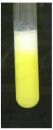 11.18.4.1. ábra: A xantoprotein-reakció  – Biuret-reakció 