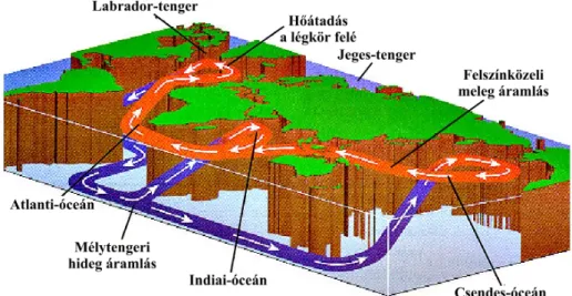 1.5. ábra. A termohalin cirkuláció mélytengeri és felszínközeli áramai (Schieber, 2013 nyomán)