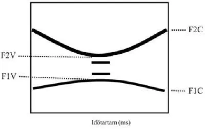 1. ábra. A svá formánsszerkezetének sematikus ábrája (Flemming et al. nyomán 2006)  A  svárealizáció  időtartama  rövidebb,  mint  az  alaprealizációé